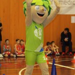 Domova novoletna akademija