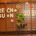 Domova novoletna akademija