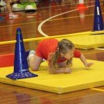 Domova novoletna akademija