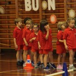 Domova novoletna akademija