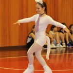 Domova novoletna akademija