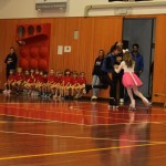 Domova novoletna akademija