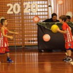 Domova novoletna akademija