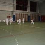 Božičnica Shinkai club