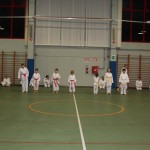 Božičnica Shinkai club