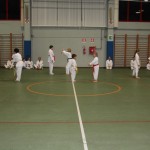 Božičnica Shinkai club