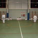 Božičnica Shinkai club