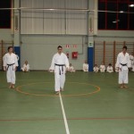 Božičnica Shinkai club
