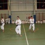 Božičnica Shinkai club