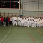 Božičnica Shinkai club
