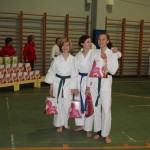 Božičnica Shinkai club