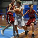 Sport - KOSARKA - DEZELNI U14 - Bor Globex - Basketrieste