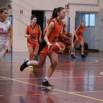 Polet - Concordia