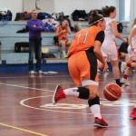 Polet - Concordia
