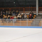 hokejinline
