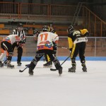 hokejinline