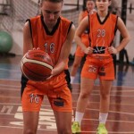Polet - Concordia