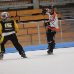 hokejinline