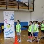 ZSŠDI: Skokičin  vrtiljak v Dolini