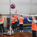 Gorica: Skokičin vrtiljak in turnir MDO s kar osmimi ekipami