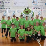 Gorica: Skokičin vrtiljak in turnir MDO s kar osmimi ekipami