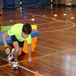 ZSŠDI: Jezikovni poligon za šoli Levstik in Kosovel