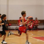 Minibasket: mladi domovci proti Dinamu