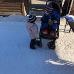 Forni di Sopra: kar 208  udeležencev na Primorskem pokaluù