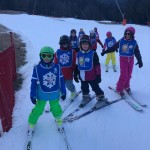 SK Brdina šola na snegu za šoli Oton Zupančič in Fran Milči