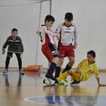 Zimski pokal ZSSDI za UNDER 11