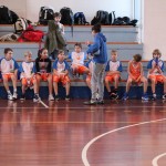 minibasket Polet/Kontovel - Sokol