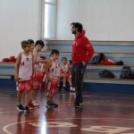minibasket Polet/Kontovel - Sokol