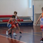 minibasket Polet/Kontovel - Sokol