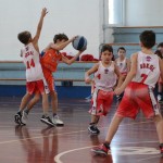 minibasket Polet/Kontovel - Sokol