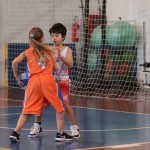 minibasket Polet/Kontovel - Sokol