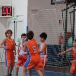 minibasket Polet/Kontovel - Sokol