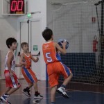 minibasket Polet/Kontovel - Sokol