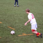 Elitna liga: Primorje - Pro Cervignano