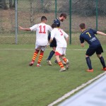 Elitna liga: Primorje - Pro Cervignano