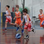 minibasket Polet/Kontovel - Sokol