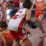 minibasket Polet/Kontovel - Sokol