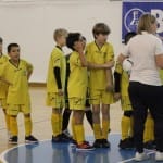 10. Zimski pokal ZSŠDI