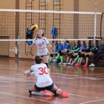 Under 16 Sokol - Poggi