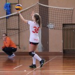 Under 16 Sokol - Poggi