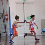 minibasket Polet/Kontovel - Sokol
