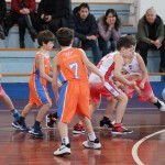 minibasket Polet/Kontovel - Sokol