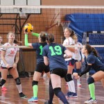 Under 16 Sokol - Poggi