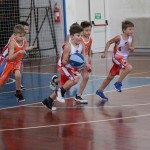 minibasket Polet/Kontovel - Sokol