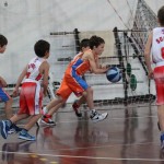 minibasket Polet/Kontovel - Sokol