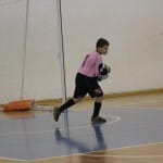 10. Zimski pokal ZSŠDI